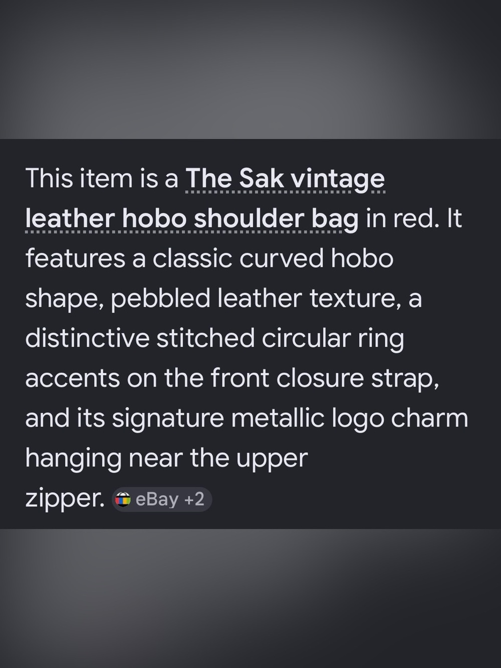 The Sak Red Vintage Leather Hobo Bag - Picture 14 of 15